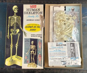 Unused Vintage Renwal Human Skeleton Model Kit - Glow In The Dark