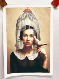 Canvas Photo Art Print. Caged Bird