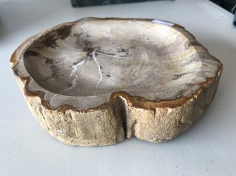 Petrified Wood Bowl, 7 LB 9 Oz, 9 Inch Diameter,