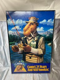 Camel Fishing Advertising