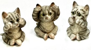 Adorable See No Evil, Hear No Evil, Speak No Evil Kitten Trio