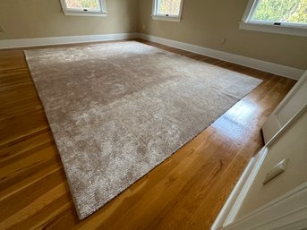 Large Med Pile Beige Area Rug