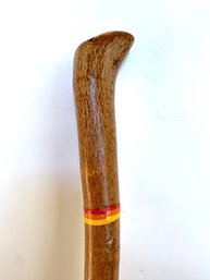 Natural Walking Stick