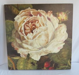 Kathryn White Cabbage Rose Gallery Wrap Print On Canvas - Signed  - New With Tag