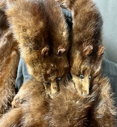 Vintage Mink Stole - Genuine Fur 6 Pelts - Dark Color - Shoulder Wrap Scarf - 68 L X 7 Wide