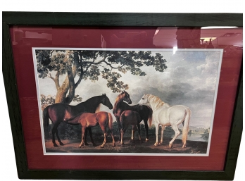 Framed Equestrian Print