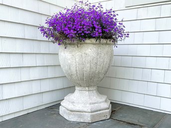 A Large Cast Fibreglass Planter And Live Plant