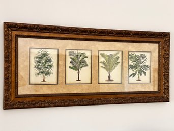 A Large Framed Series Of Tropical Palm Lithographs