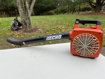 Echo Gas Powered Leaf Blower With Roof Gutter Attachment