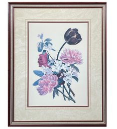 A Framed Botanical Print