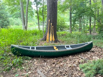 12 Foot Green Canoe With Paddles