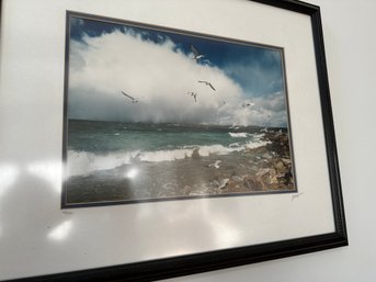 Seagulls On The Shore Signed 156/750
