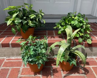 Collection Of Four Artificial Plants