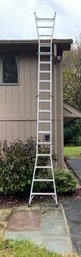 Gorilla 28 Position Adjustable Ladder