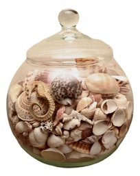 Sea Shells And Seahorse In A Lidded Ball Finial Glass Bowl