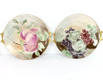 Pair Of Signed Hand Painted Bavarian Handled Plates