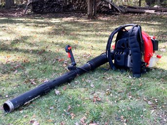 An Echo Gas Powered Leaf Blower