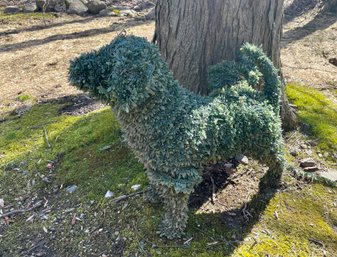 Green Topiary Dog 'Watering The Tree'