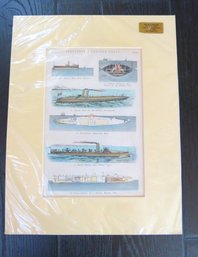 Antique Torpedos & Torpedo Boats Color Print
