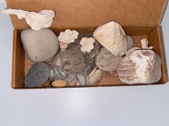 New Box Of Ocean Rocks And Coral