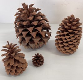 Set Of Four Decorative Pine Cones