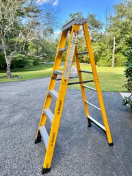 Husky 6 Foot Ladder