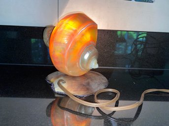 Beautiful Vintage Shell Lamp With Shell Base And Brass Hardware. Yes Shipping.