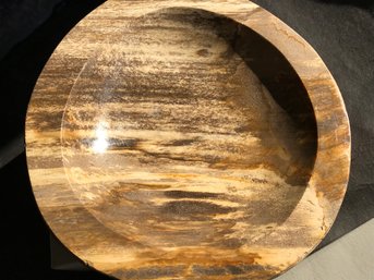 Petrified Wood Bowl, 7 LB , 8 Inch Diameter