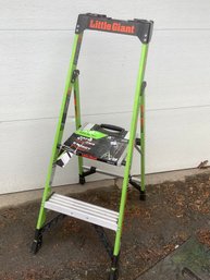 Green Little Giant 4ft Step Ladder