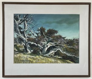 Hans Axel Walleen American Watercolor Society Member Watercolor Painting 'Monterey Cypress'