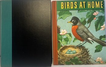 Vintage Bird At Home And Hammonds Nature Book