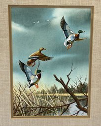 Vintage Watercolor Of Ducks Signed Lambert