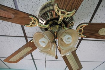 Large Ceiling Fan