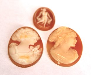 Lot Of Three Antique Carved Shell Cameos Unframed