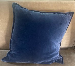 Single Crate And Barrel Down Pillow With Zip Off Cover