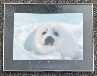 A Vintage Bob Talbot Print - Help Save The Seals