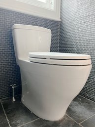 A One Piece Toto Toilet With Dual Flush - Bath 1B