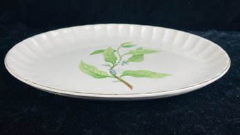 W S George Botanical Oval Bolero China Plate Platter