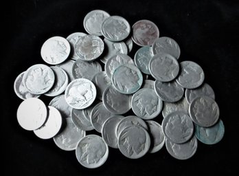 44 U.S. Buffalo Nickels