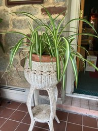 Tropical Plant And Wicker Plant Stand