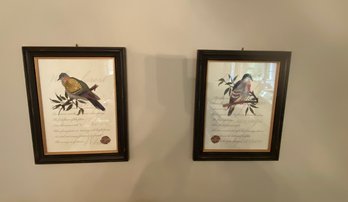 Pair Ornithological Prints