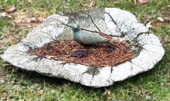 Concrete Bird Drinking Bowl With Beautifully Patinaed Metal Bird In Center