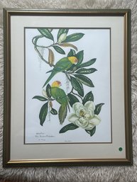 AN ANNE WORSHAM RICHARDSON PRINT 'CAROLINA PAROQUET' SIGNED AND NUMBERED IN PENCIL