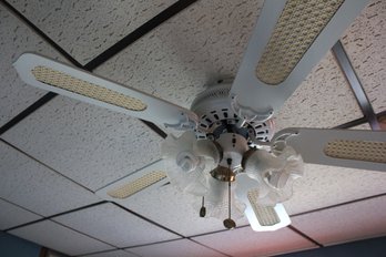 Ceiling Fan #3