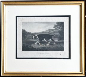 A 19th Century French Dog Engraving