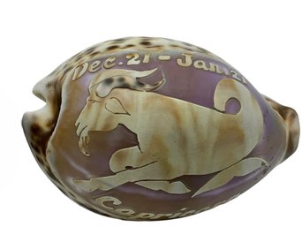 Hand Carved Cowrie Shell Featuring The Capricorn Zodiac / Astrological Sign & Dates