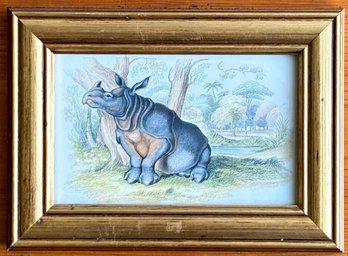 A Hand Colored Hippopotamus Engraving