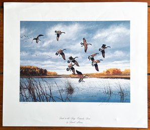 A Print By. David Maass, Dusk In The Bay - Canada Geese - Signed And Numbered In Pencil By Artist