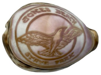 Hand Carved Jones Beach State Park Souvenir Cowrie Shell