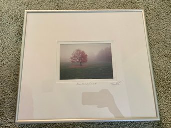 'Alone In The Mist' Photograph By Local Artist, Framed